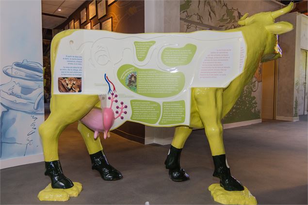 Visite sensorielle Coopérative laitière du Beaufortain - Lionel Martinetto