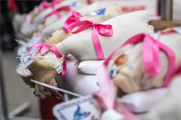 Bourg-en-Bresse destinations_Glorieuses_Bresse_002©MorganeMonneret (21) - Bourg-en-Bresse destinatio