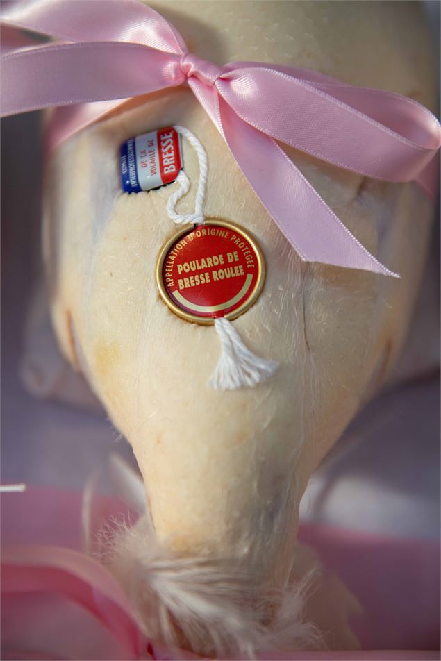 Poularde - ©Morgane Monneret