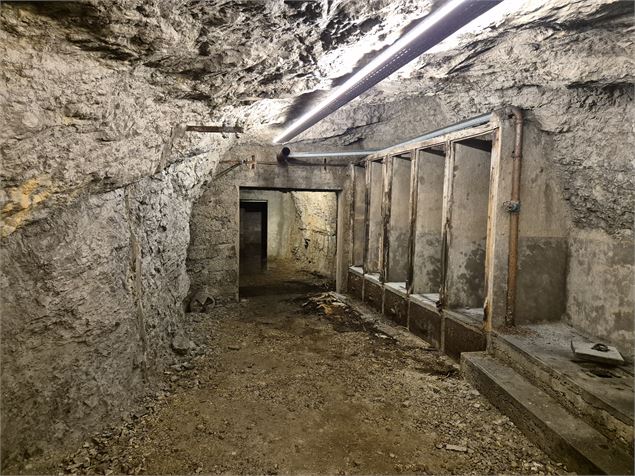 Abri Nézin - Albert Perriol - ©Alpigraphie / Kröll Matthias - Grand Chambéry Alpes Tourisme