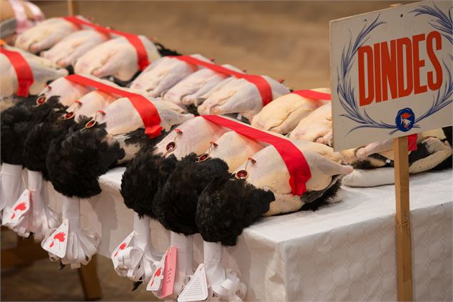 dindes - André Descottes