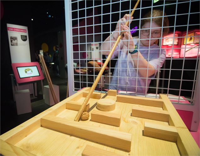 Intelligences animales - Sylvain Lefebvre