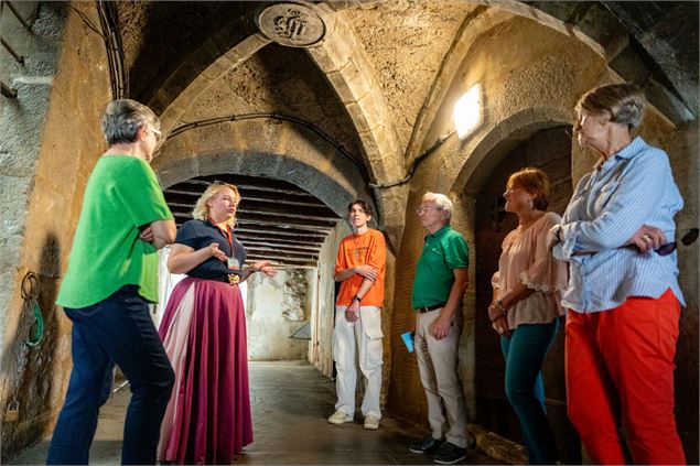 Allé Planche - Chambéry - ©Alpigraphie / Kröll Matthias - Grand Chambéry Alpes Tourisme