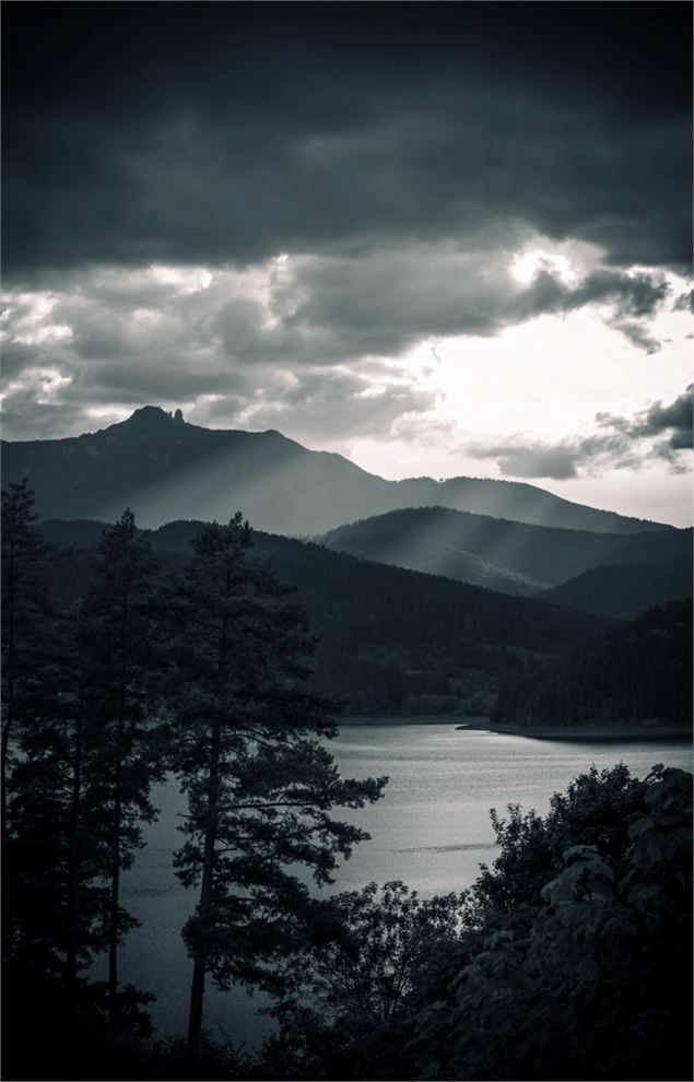 Eléments par Hélène Gueury - Hélène Gueury