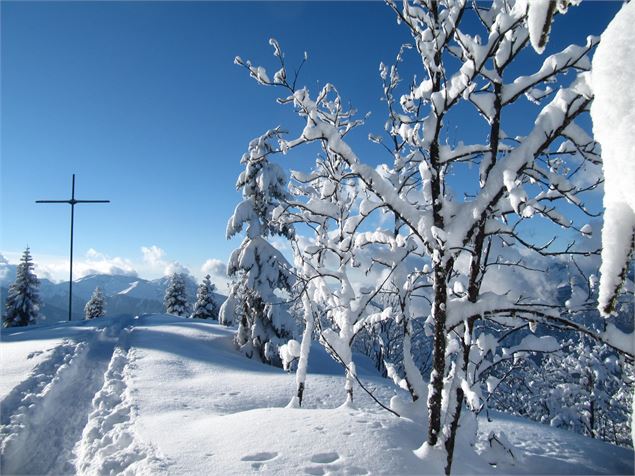 Sortie raquettes - Bureau des guides Thônes - Bernard Bocquet
