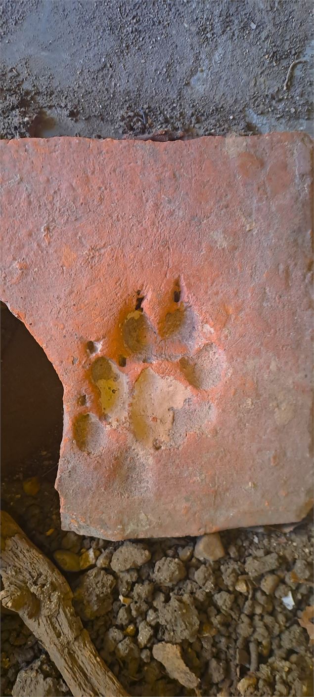 Apéro’Archéo : Pyjam'Apéro_Izernore - Musée archéologique d'Izernore