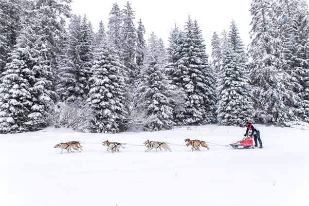 La Grande odyssée - Vincent Piccerelle