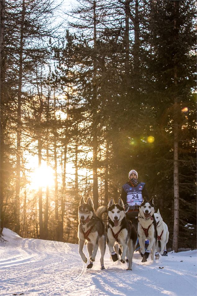 La Grande odyssée - Vincent Piccerelle