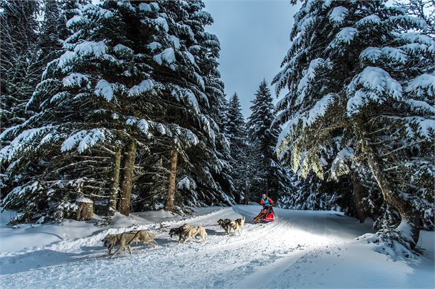 La Grande odyssée - Vincent Piccerelle