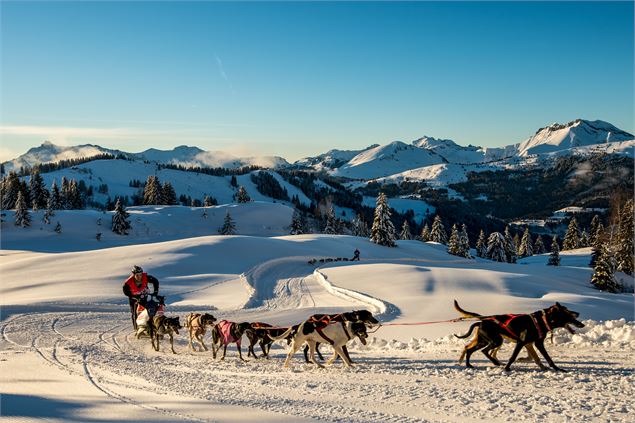 La Grande odyssée - Vincent Piccerelle