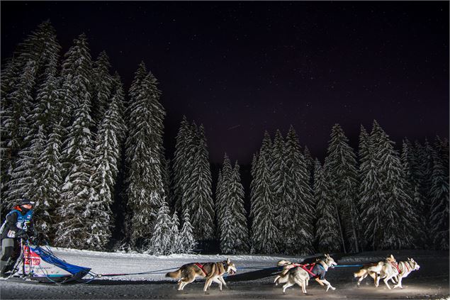La Grande odyssée - Vincent Piccerelle
