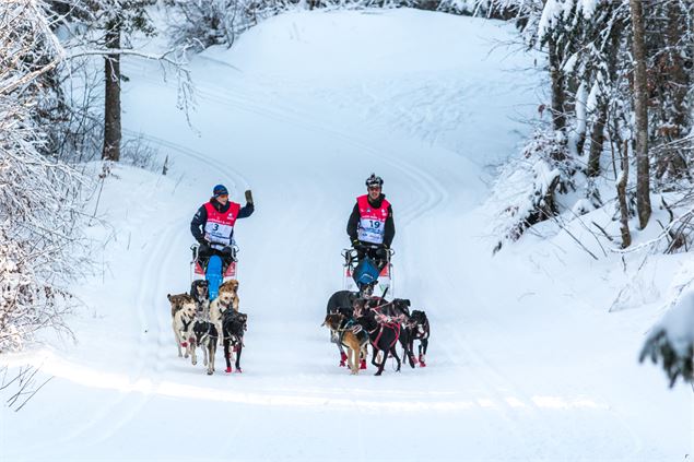 La Grande odyssée - Vincent Piccerelle
