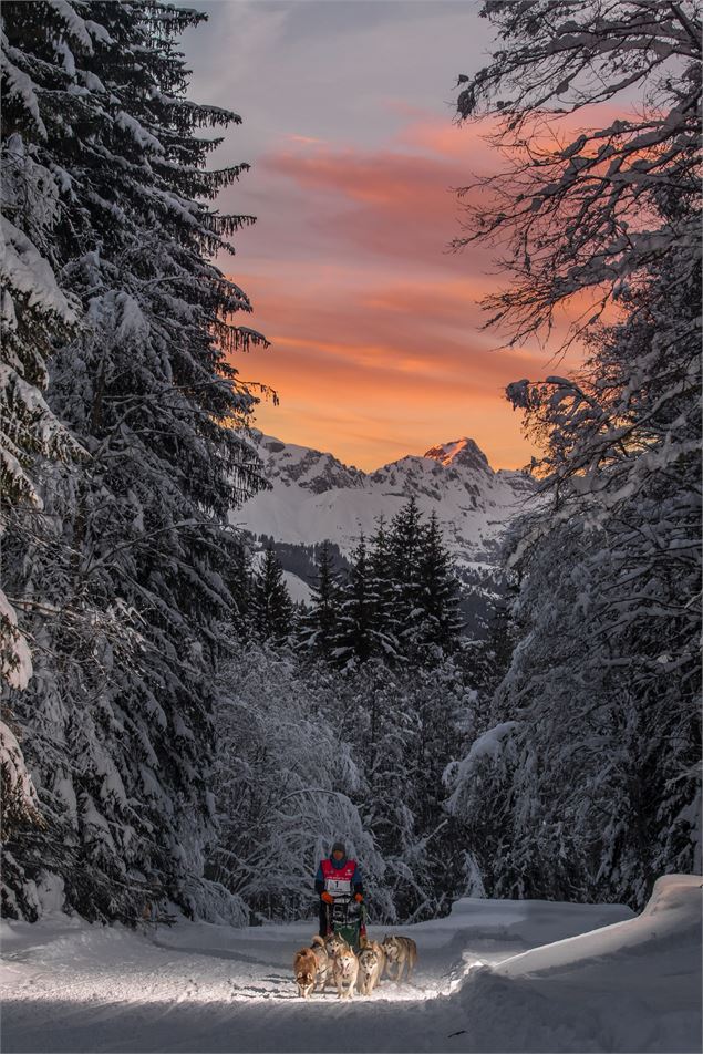 La Grande odyssée - Vincent Piccerelle