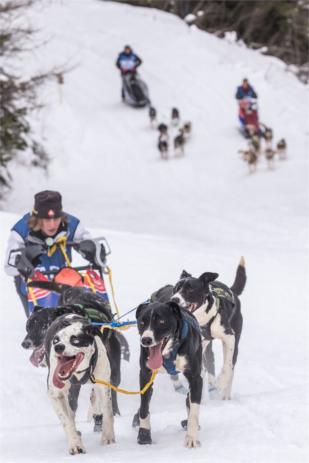 La Grande odyssée - Vincent Piccerelle