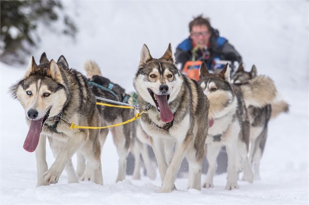 La Grande odyssée - Vincent Piccerelle