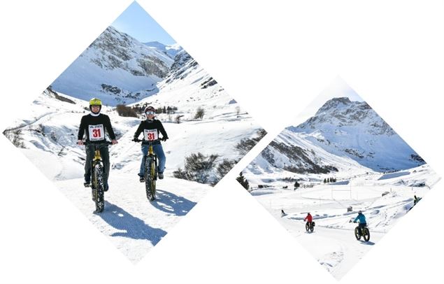 losange - fat bike - wat's up fat bike