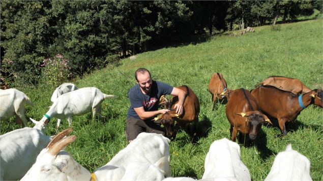 Cyril_et_ses_chèvres - Blanc_Gonnet