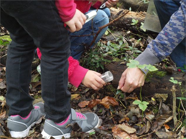 Rallye printemps - Natur'Envie - Office de tourisme Thônes
