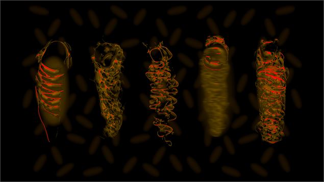 Exposition Kaleidophone 2025 - Fil rouge - Philippe Möenne-Loccoz