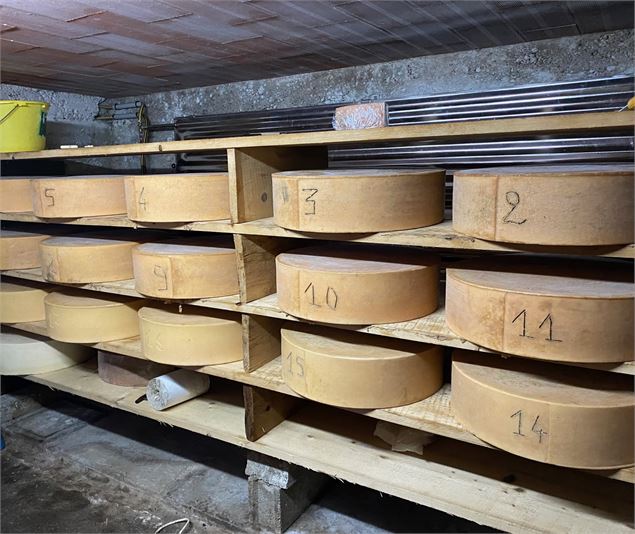 Visite à la ferme - GAEC de la Cluse - Fondation FACIM