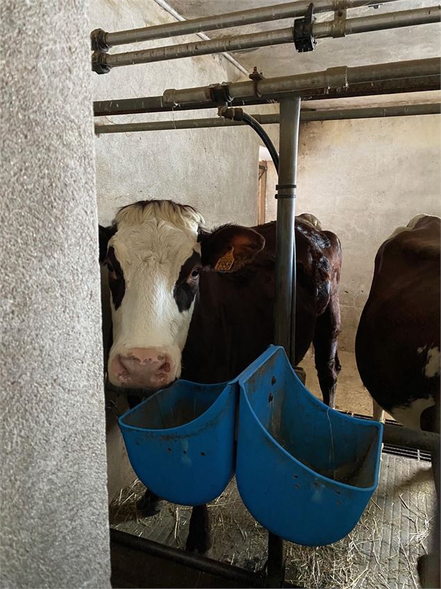 Visite à la ferme - GAEC de la Cluse - Fondation FACIM
