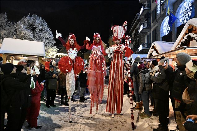 Elfyzarine - ©Sylvain Aymoz