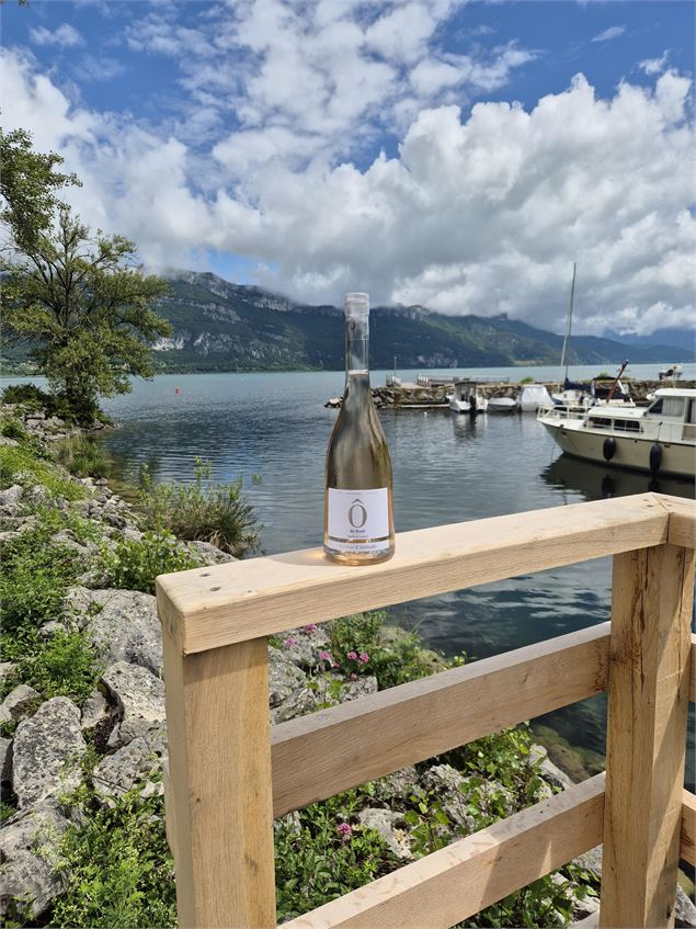 Domaine de Lorgeril - Bateaucanal
