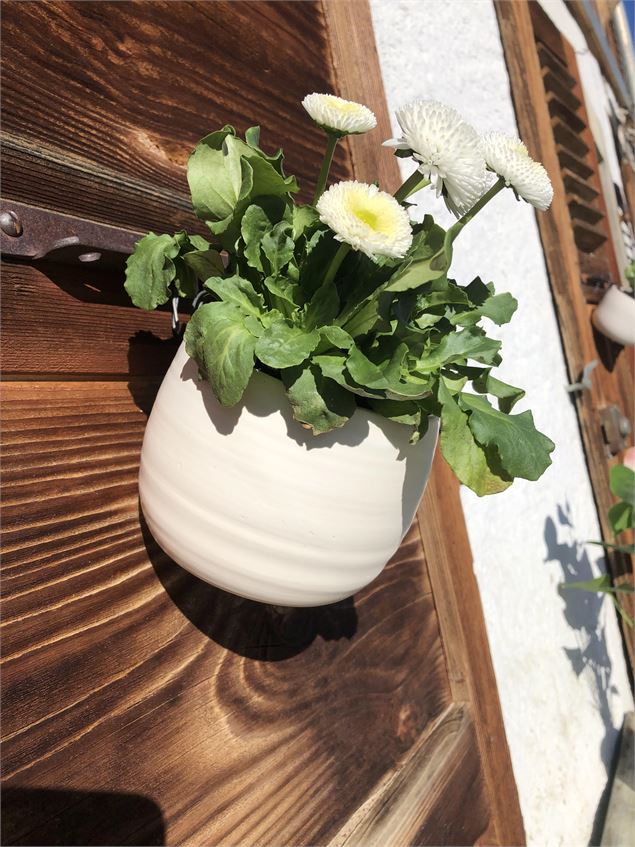 - L’Atelier de Puce