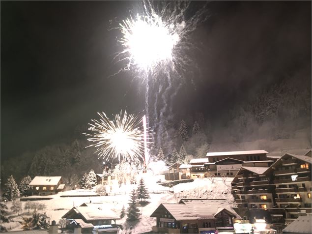 Feu d'artifice - Nomad Photographie