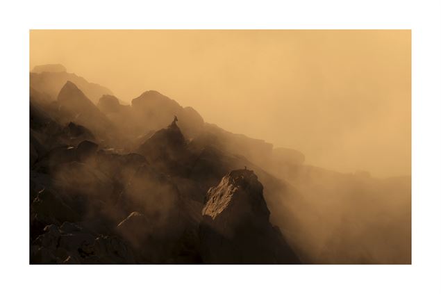 Bouquetins dans la brume - Lubin Godin