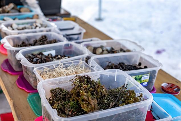 Atelier création chalet en bois