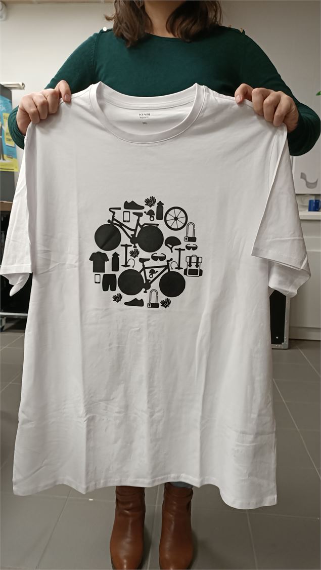 Stickers créés avec la découpe vinyle et floqués sur un t-shirt - Altec