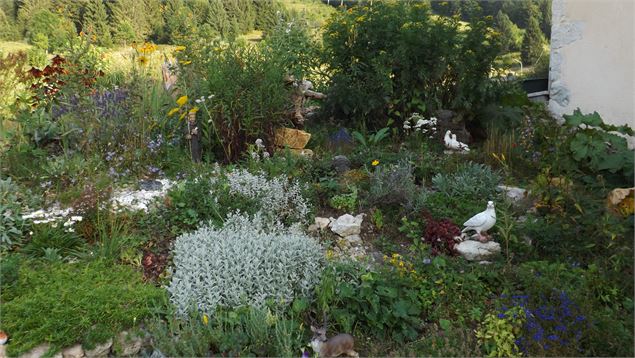 Le jardin - ©Daniel Lefèvre