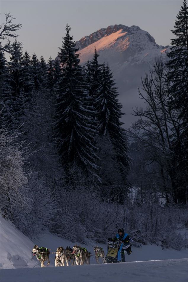 La Grande Odyssée 2025 - La Grande Odyssée