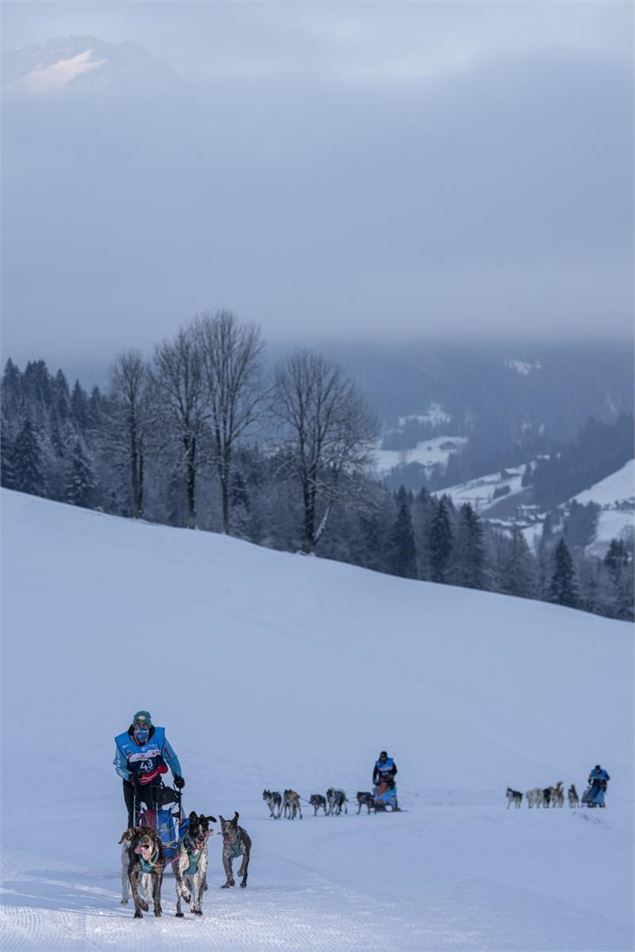 La Grande Odyssée 2025 - La Grande Odyssée