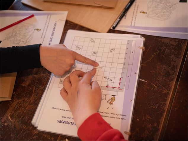 Des enfants étudient un schéma - D. Cuvelier - OTHMV