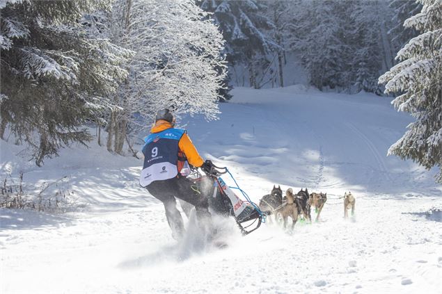 La Grande Odyssée Royal Canin : 3ème étape_Les Déserts - Benoît Diacre