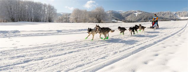 La Grande Odyssée_Avoriaz