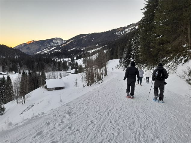 Raquettes en fête - Alp Evianature