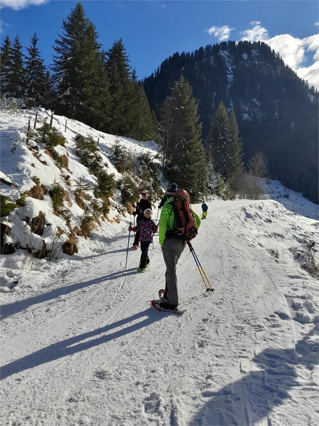 Raquettes en fête - Alp Evianature