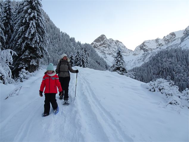 Raquettes en fête - Alp Evianature