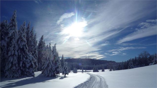 Sortie raquette au Plateau de Retord - Sylvain Poncet
