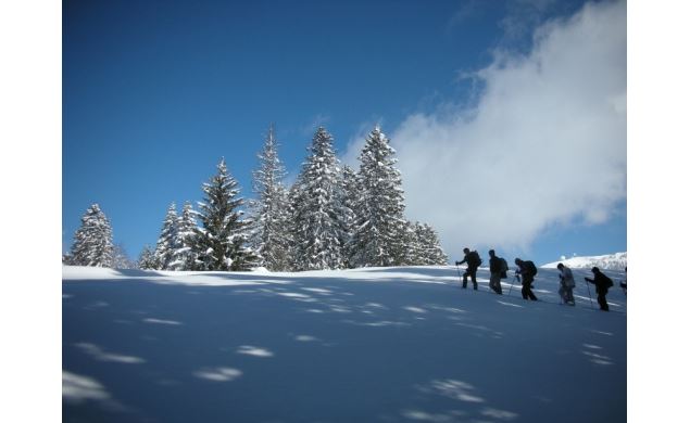 Sortie raquette au Plateau de Retord - Sylvain Poncet