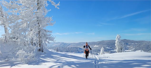 Randonnée raquettes - Fondue en pleine nature avec Sylvain Poncet_Apremont - Sylvain Poncet