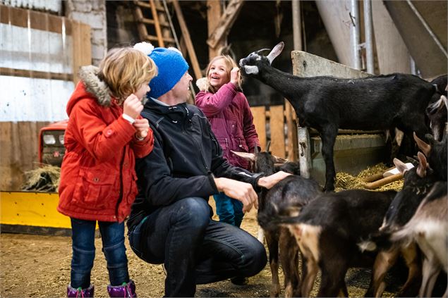 Ferme de la Correrie - Ac Colomb - GCAT