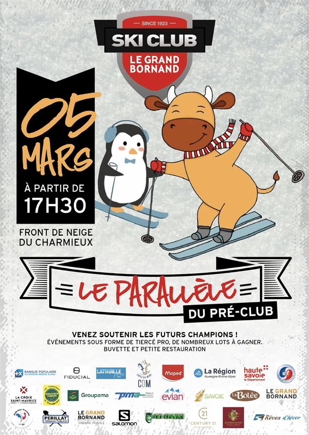 Affiche slalom parallèle - Le Grand-Bornand - Alpcat médias