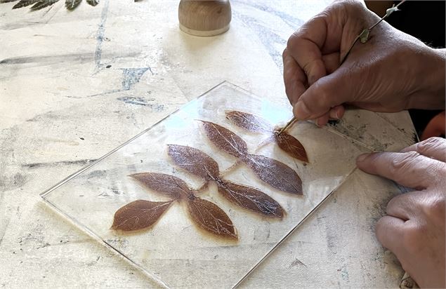 Atelier | Gravure de plantes et bois de la région