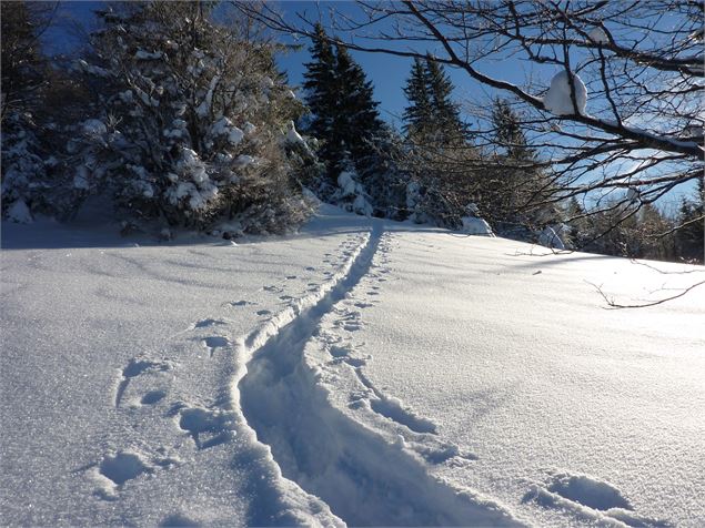 Faites de la Raquette - Jean-Marc Peutet