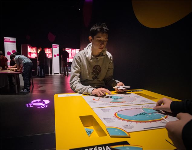 Intelligences cellullaires et végétales - Sylvain Lefebvre