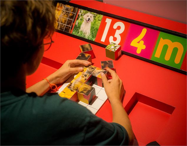 Intelligences artificielles - Sylvain Lefebvre